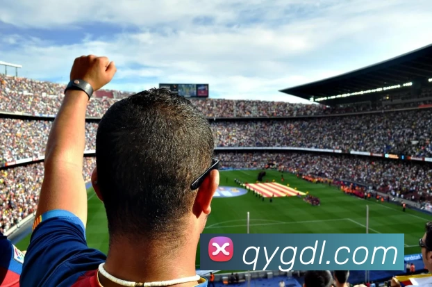 奇异果体育app品牌故事